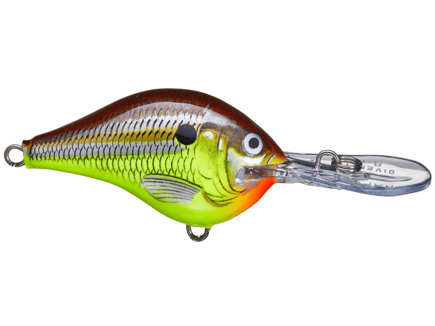 Rapala - DT8 Series Crankbait - Bobber Bargain