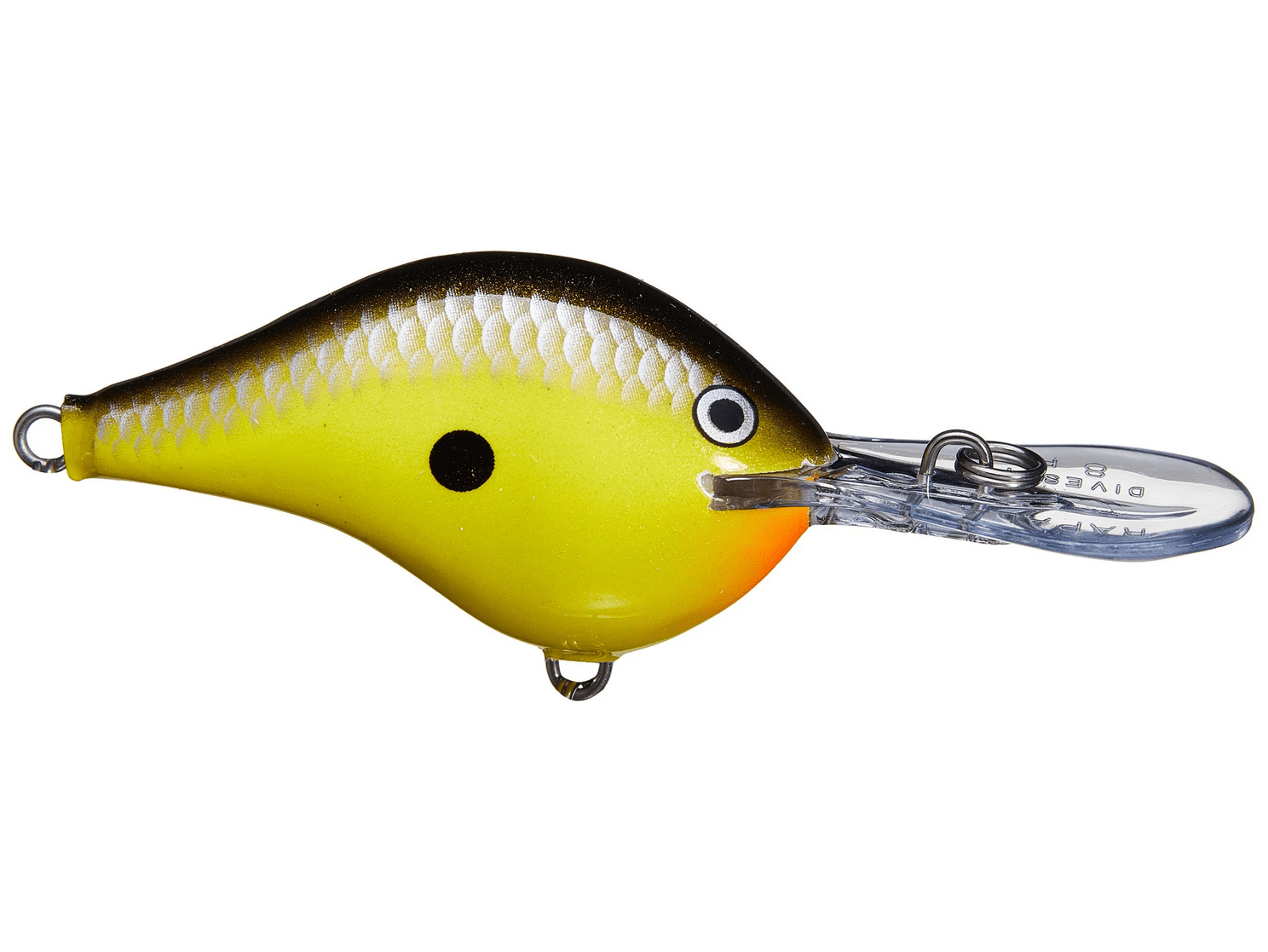 Rapala - DT8 Series Crankbait - Bobber Bargain