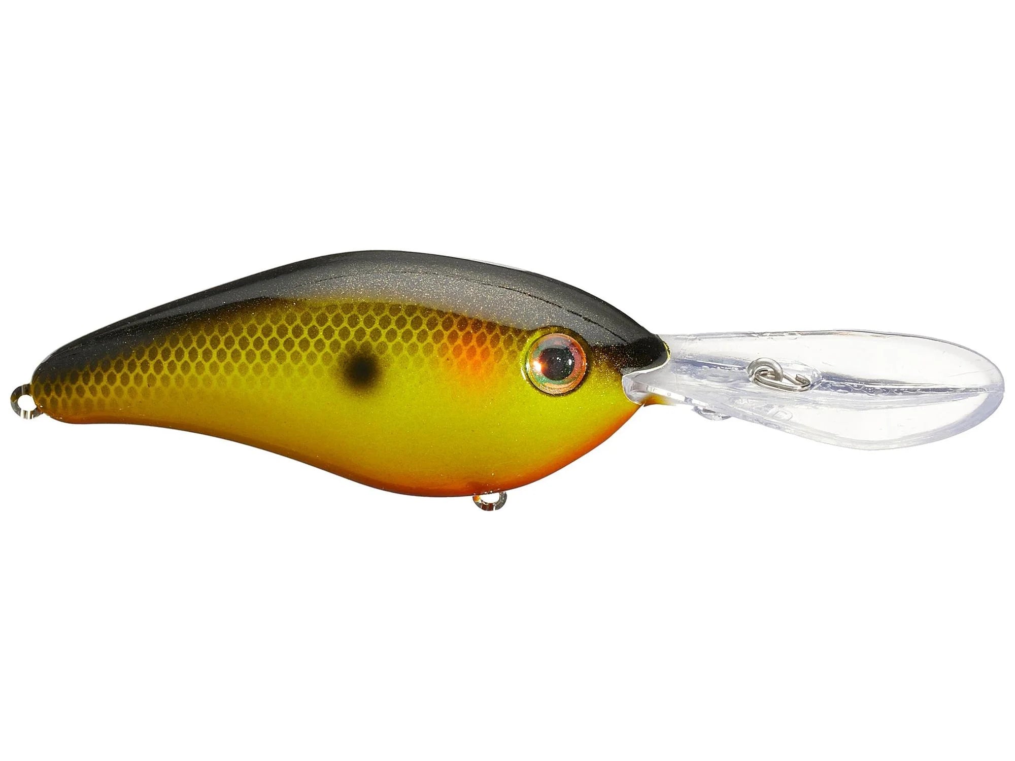 Strike King - 6XD Elite Crankbait - Bobber Bargain