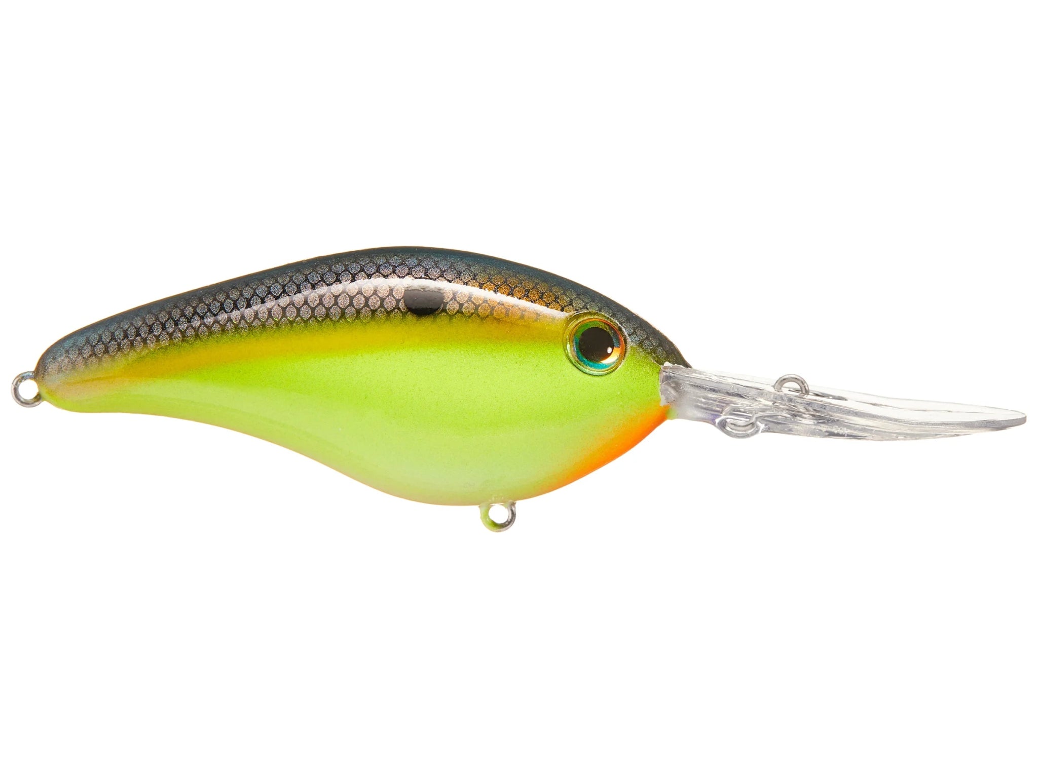 Strike King - 6XD Elite Crankbait - Bobber Bargain