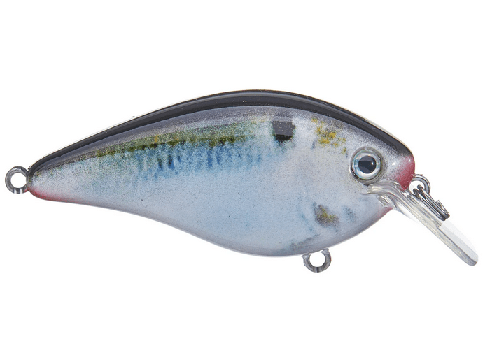 Strike King - KVD 2.5 HC Squarebill Silent Crankbait - Bobber Bargain