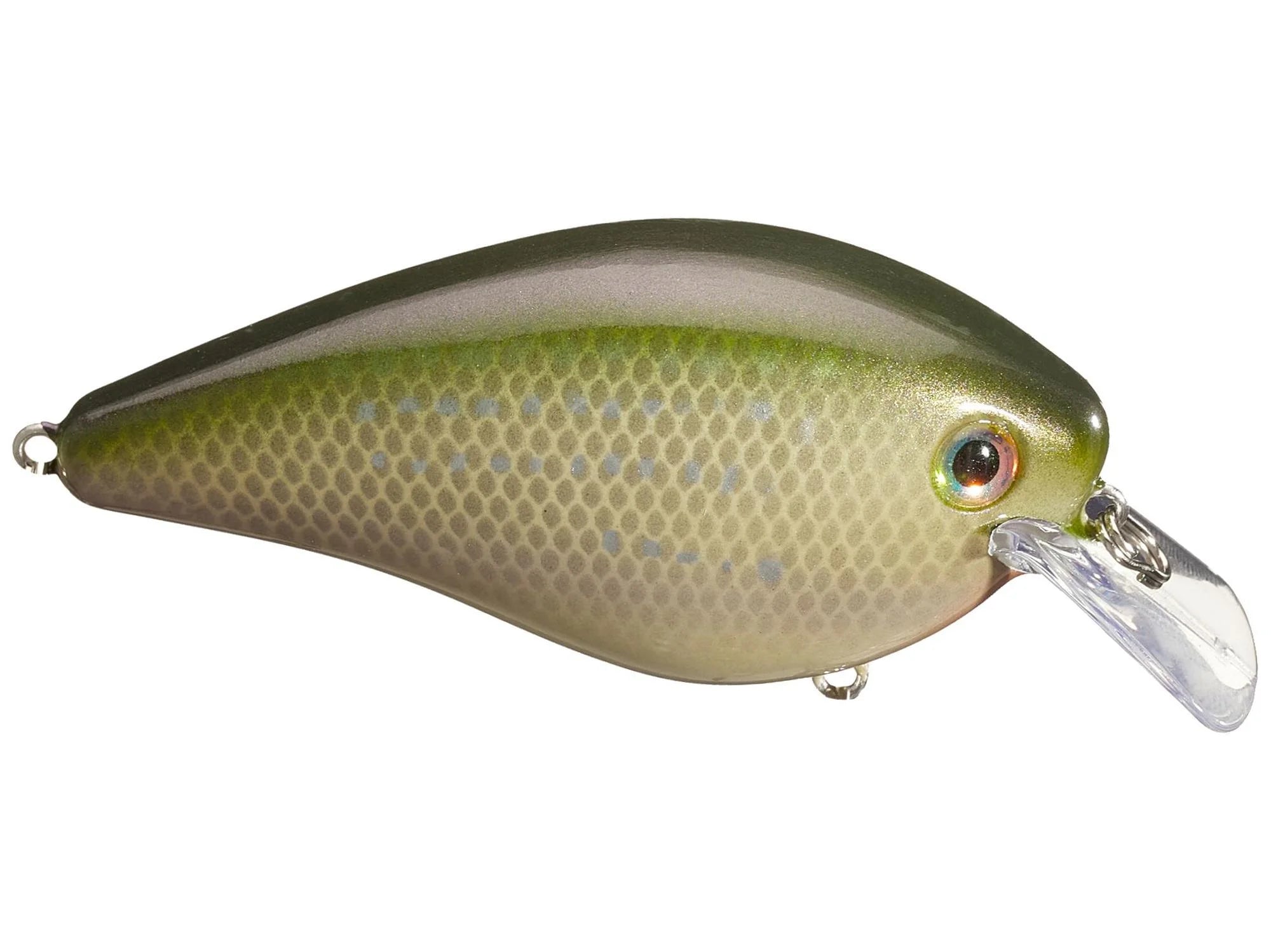 Strike King - KVD Elite 2.5 Squarebill Crankbait - Bobber Bargain