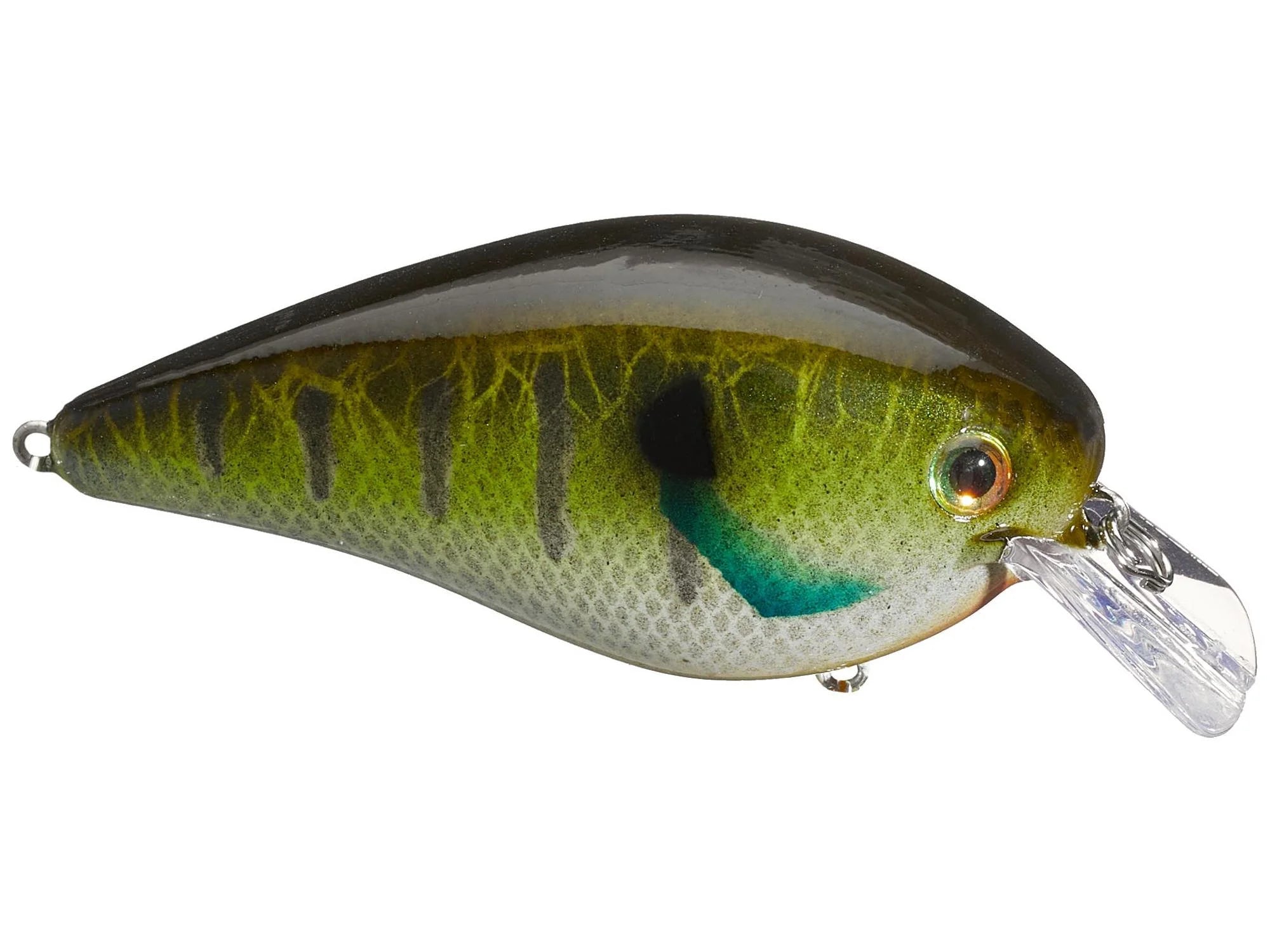 Strike King - KVD Elite 2.5 Squarebill Crankbait - Bobber Bargain