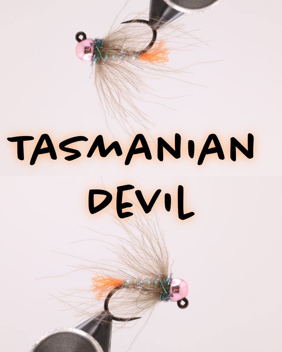 Diable de Tasmanie