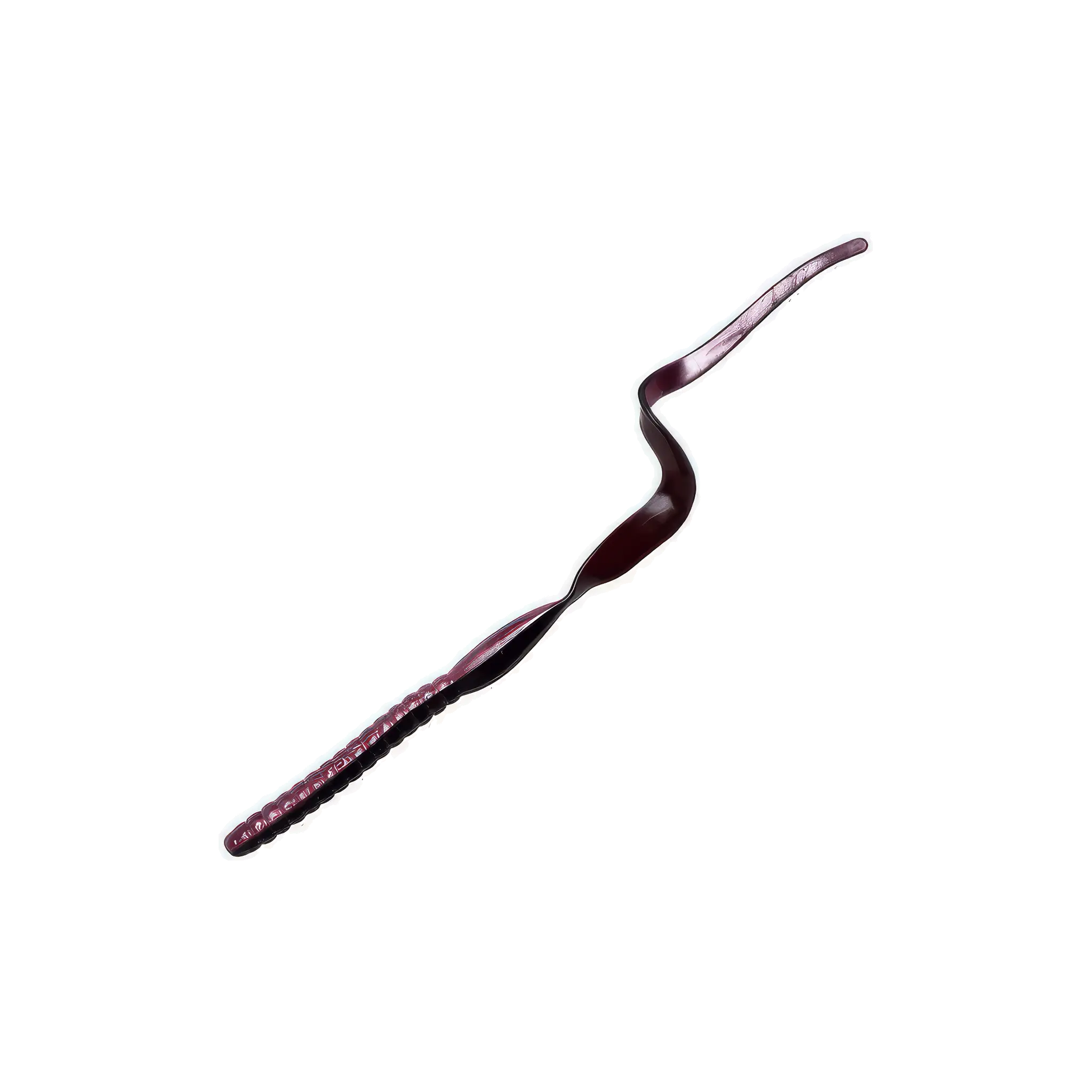 Ribbontail Worm