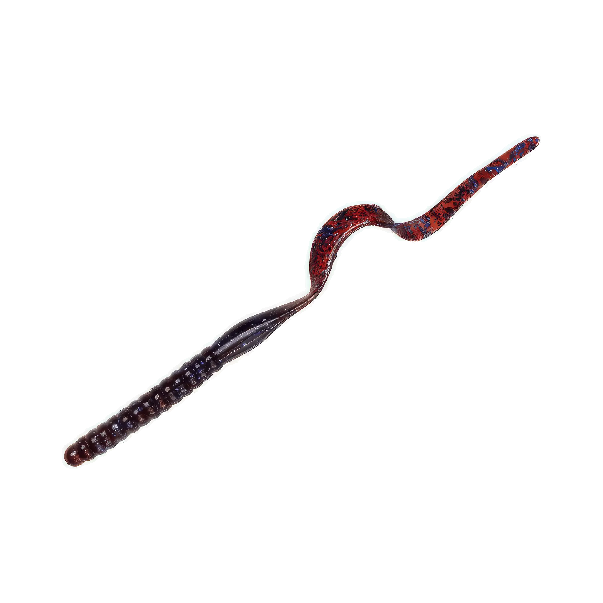 Ribbontail Worm
