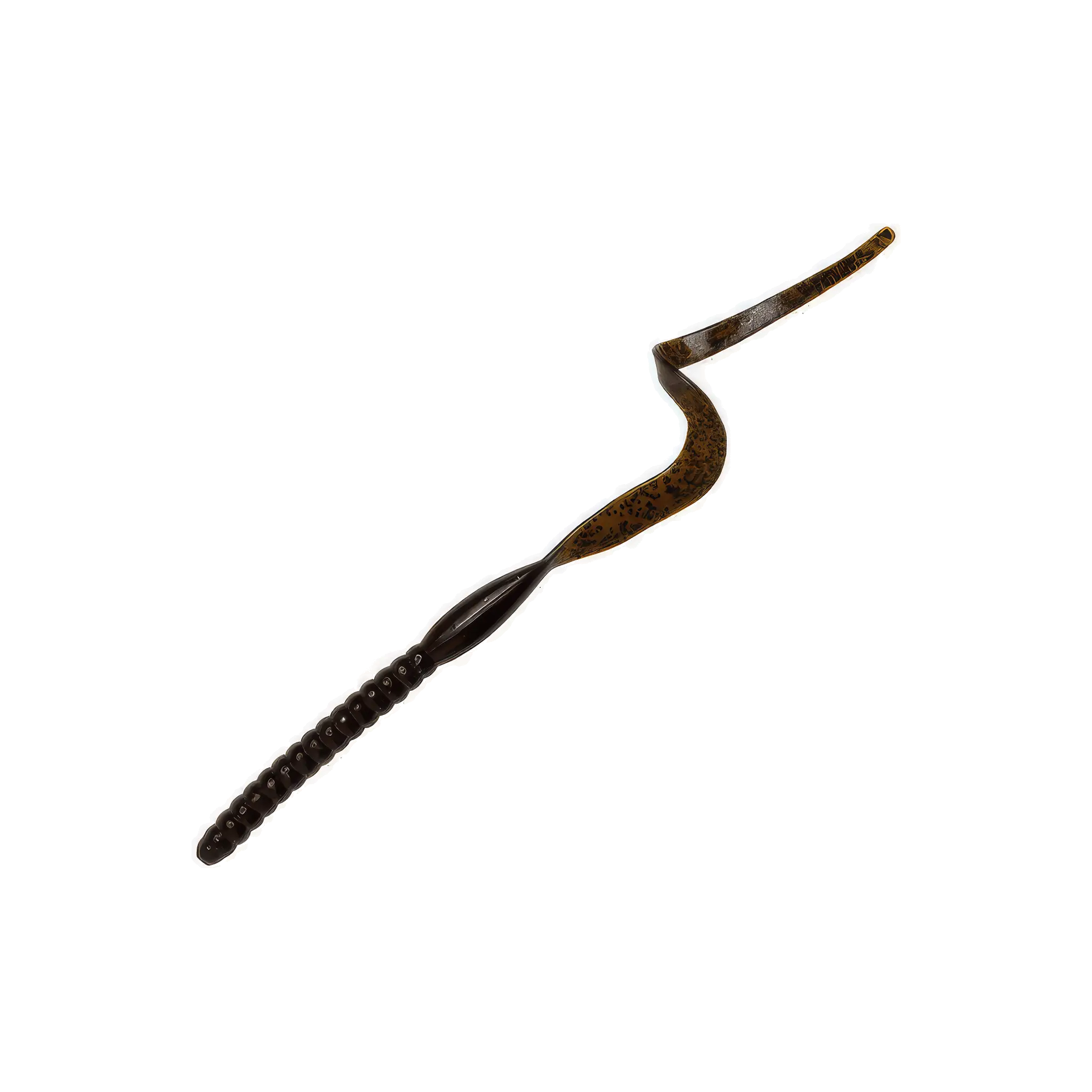 Ribbontail Worm
