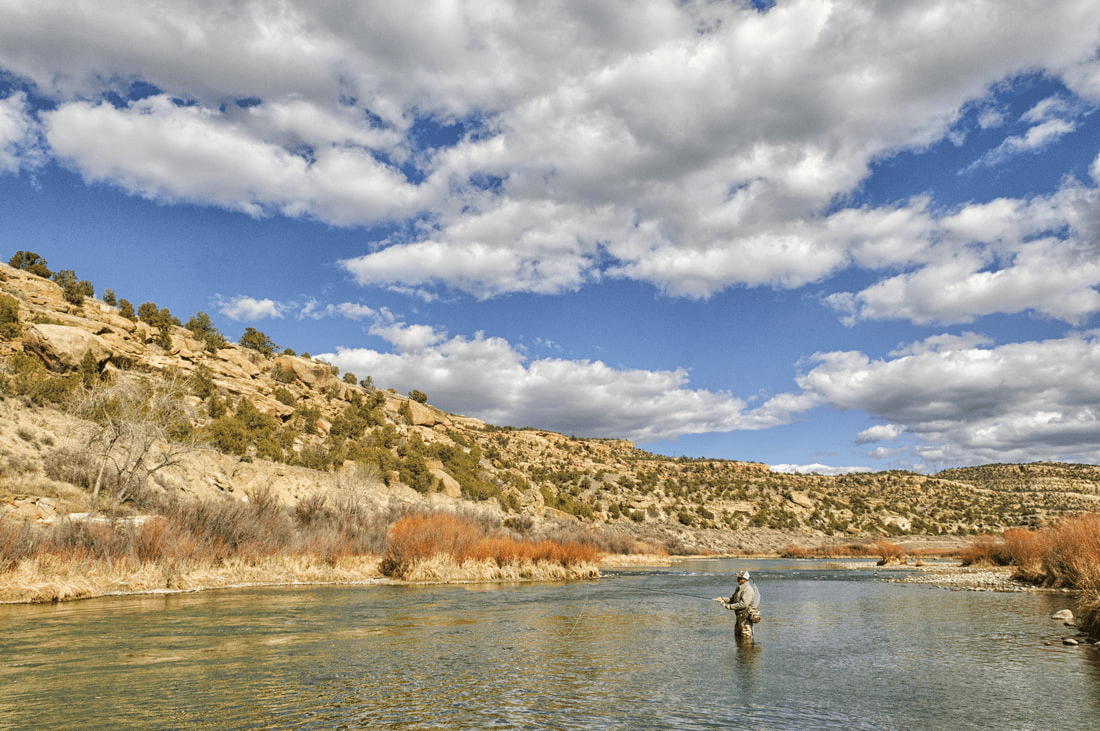 New Mexico Free Fishing Weekend | Dates & Details Bobber Bargain