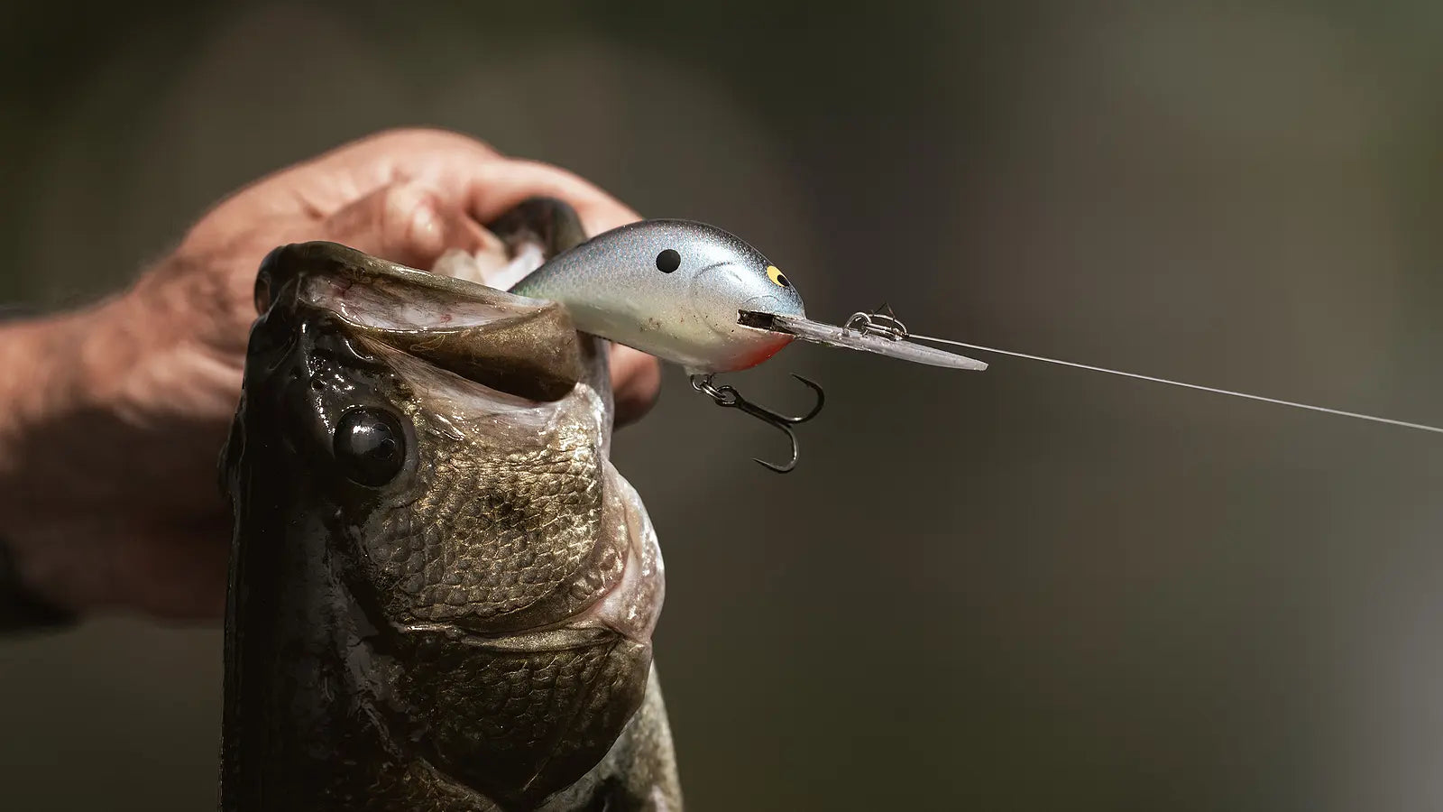 bass fishing mistakes summer