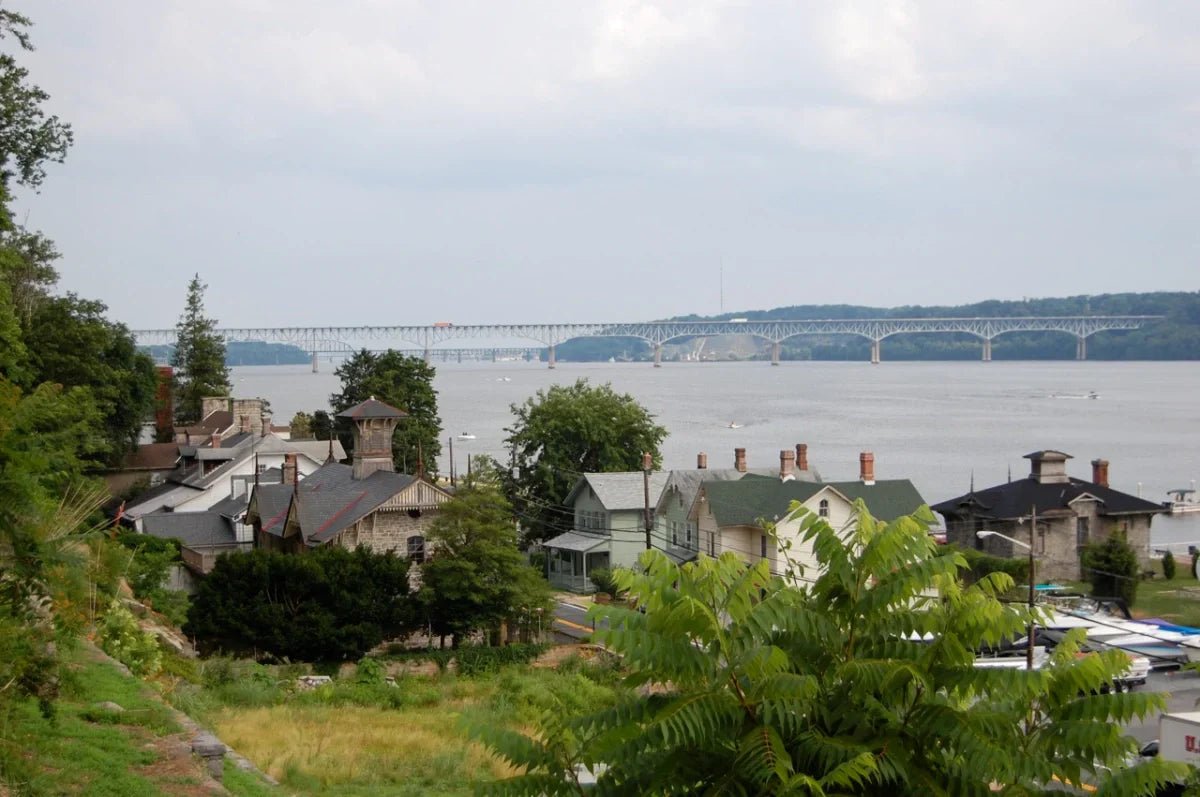 Snakehead Showdown: Fighting Invasive Fish in Port Deposit, MD - Bobber Bargain