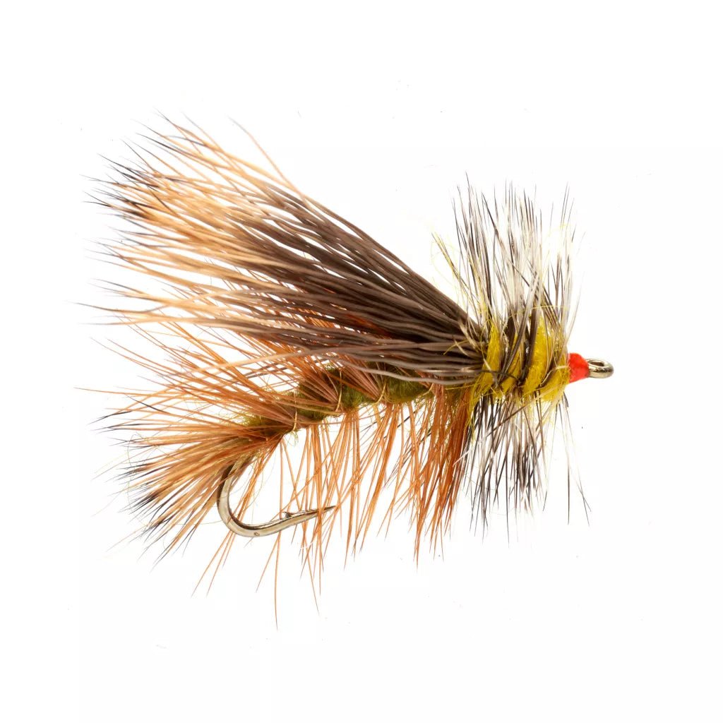 Pêche à la mouche