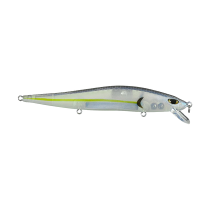 Jerkbaits fishing gear collection