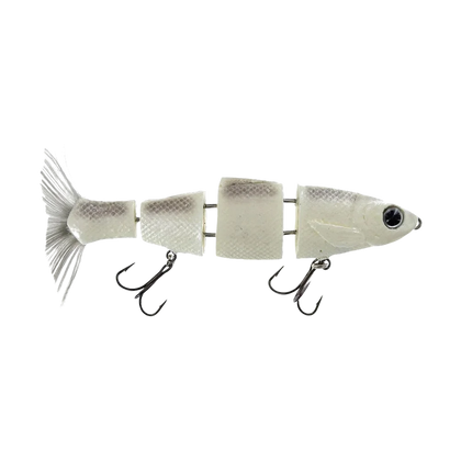 Swimbaits fishing gear collection