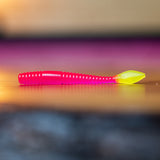 Vers à saumon arc-en-ciel - UV