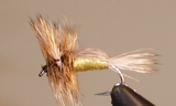 Humpy - 8 couleurs