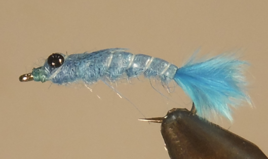 Ninfa de la damisela azul