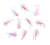 StoneStorm Stonefly Nymphs