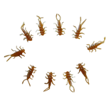 StoneStorm Stonefly Nymphs