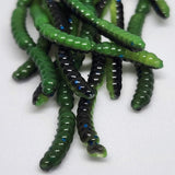 Pot de larves de micro-asticots de 1,27 cm (0,5 po) « La mouche de la pomme »