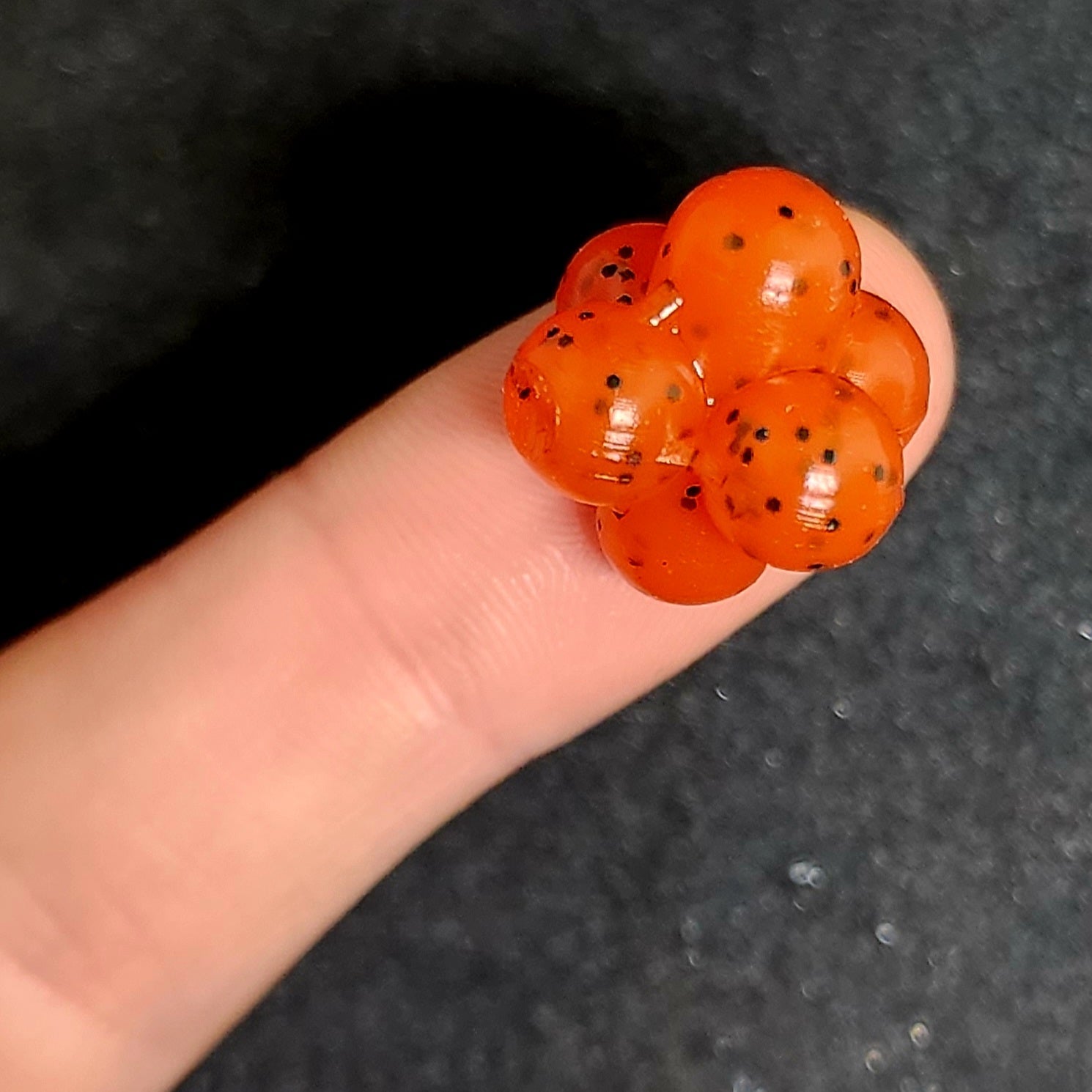Grappe d'œufs de saumon de 0,8 po « Ditch Caviar »