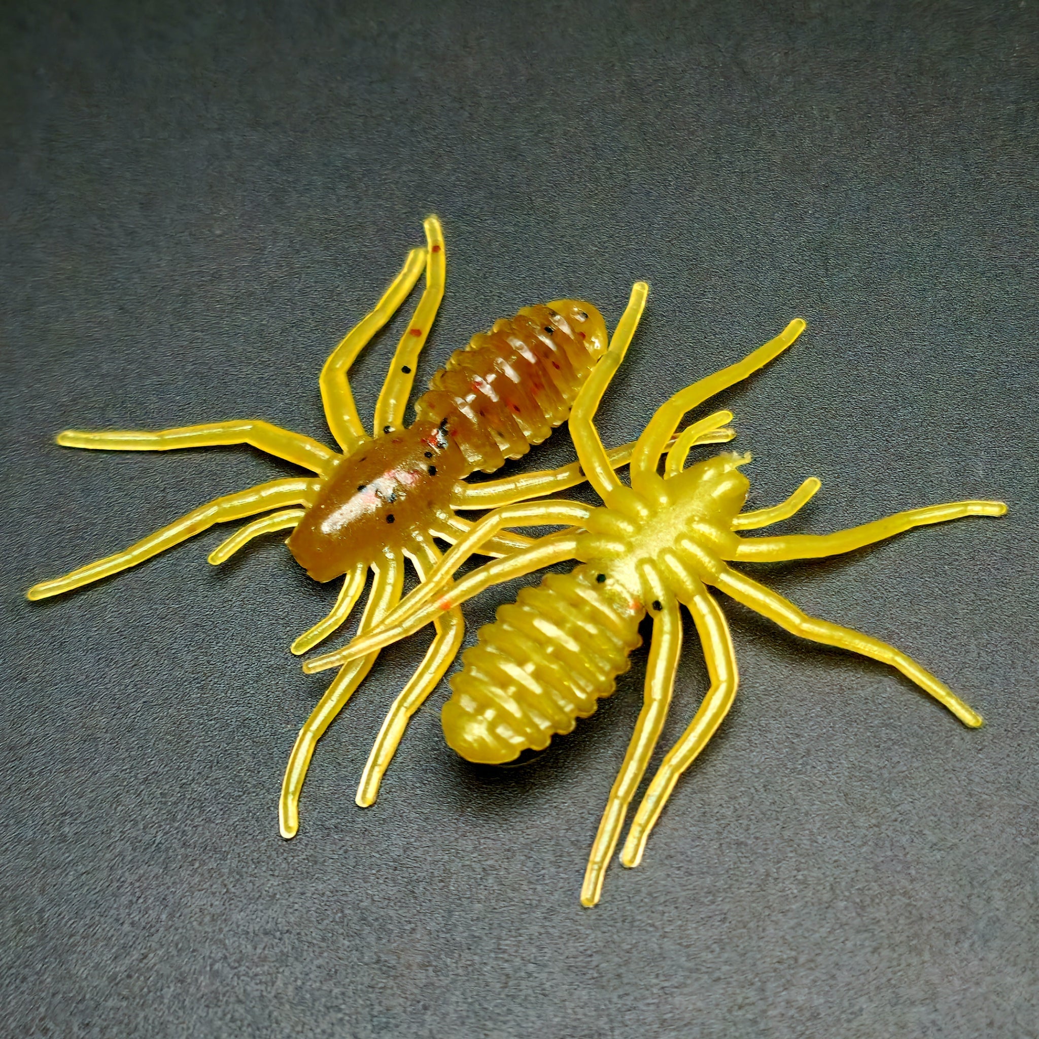 Micro-appât pour araignées « L'araignée qui écrit » 1"