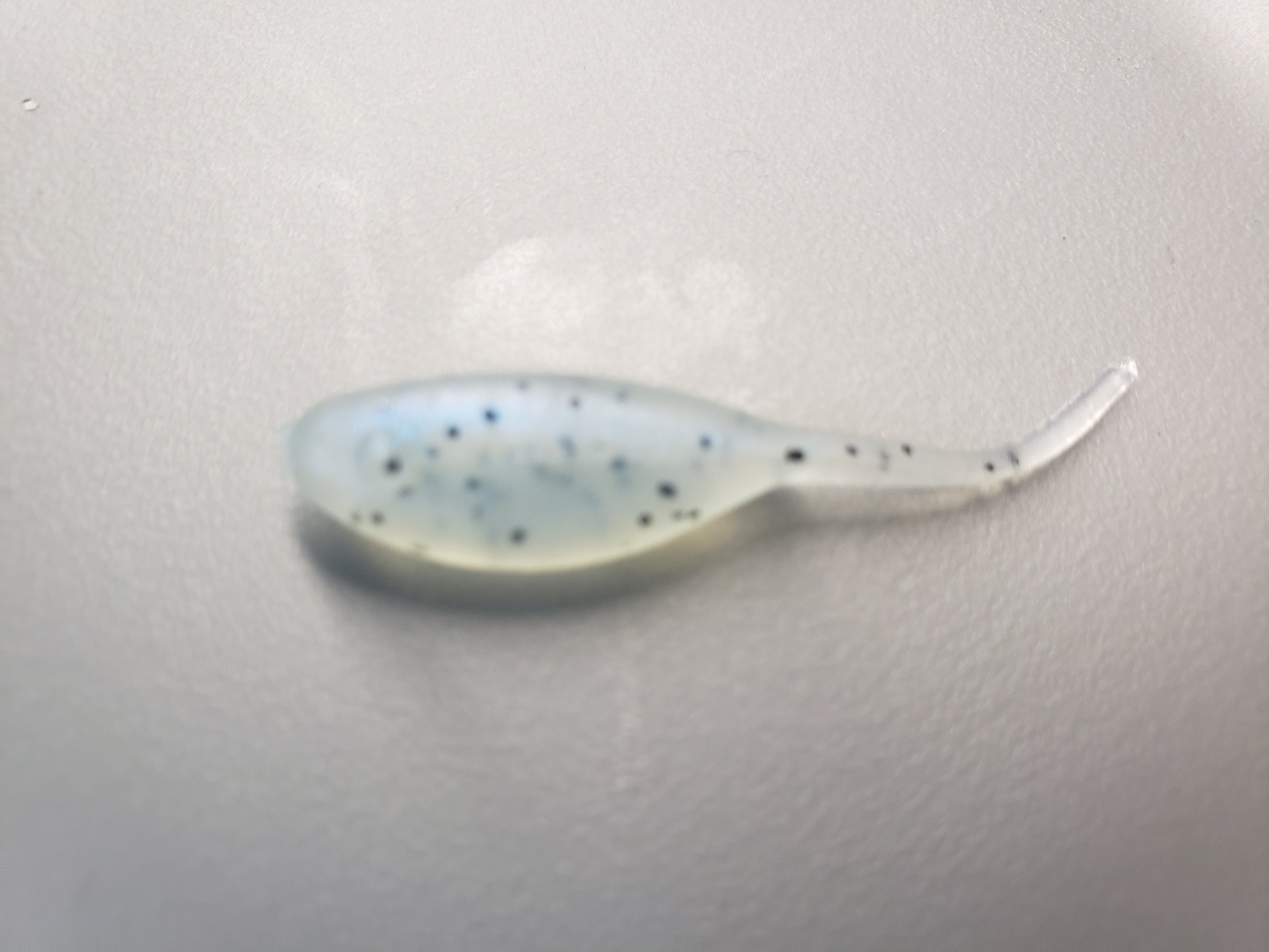 Little Minnow 1.5 Inch