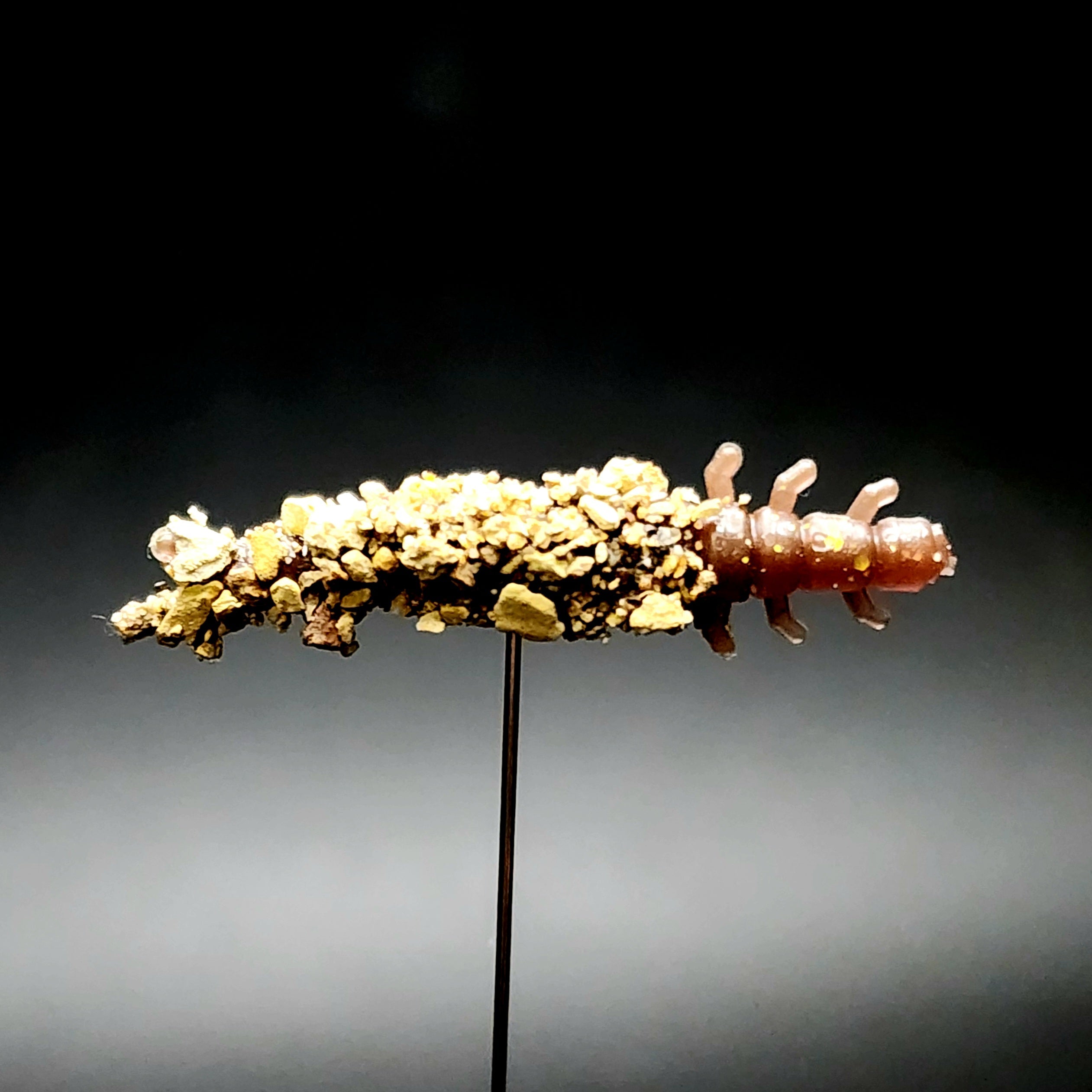 Frasco de larvas de tricópteros de 3,3 cm "Stream Weaver"