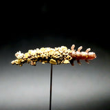 Frasco de larvas de tricópteros de 3,3 cm "Stream Weaver"
