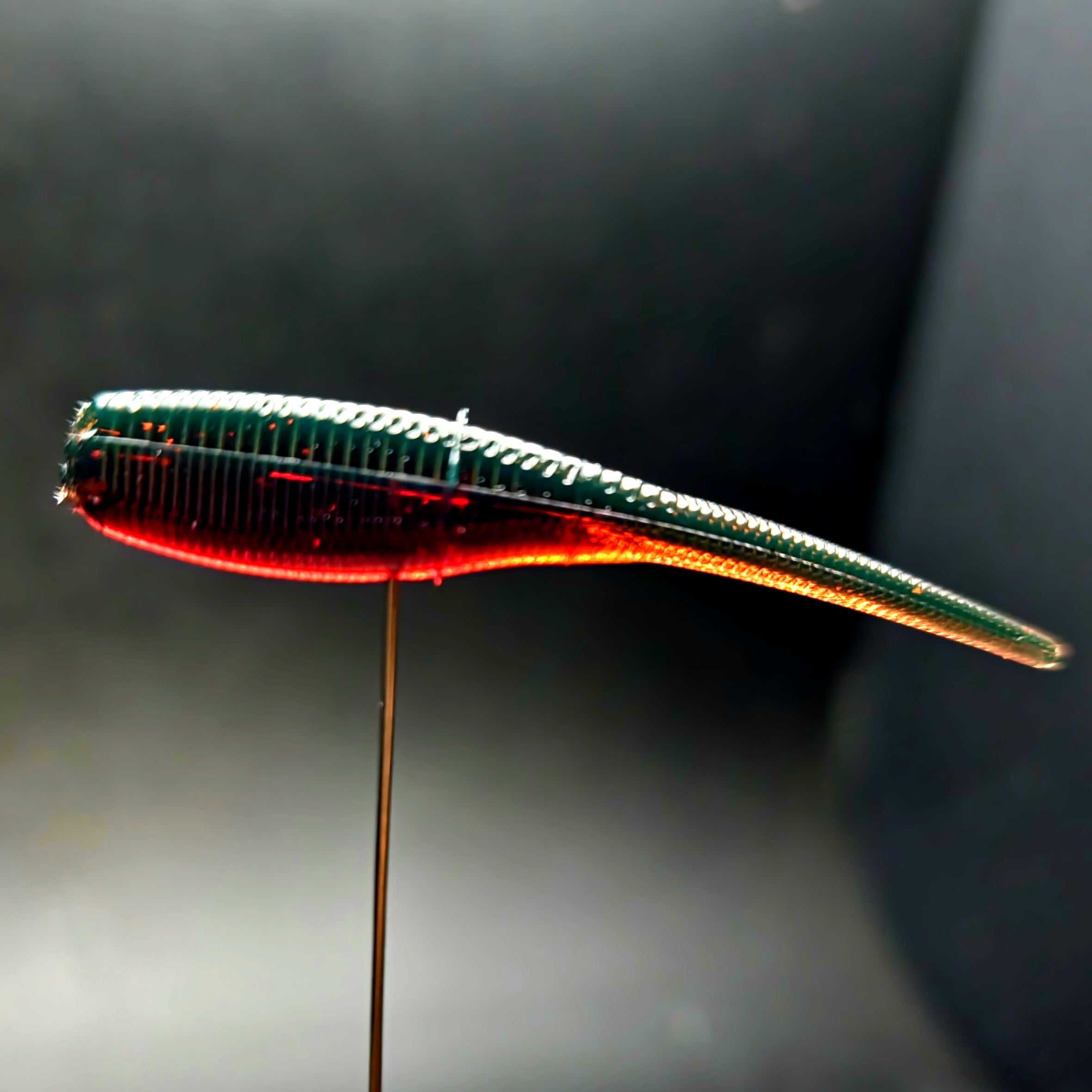 Pot de Baby Shad de 5 cm « The Needlebutt Shad »
