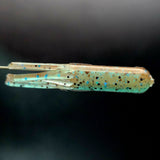 Frasco de microtubo hueco de 4,6 cm "El Gusano Colgante Whisker-Doodle"