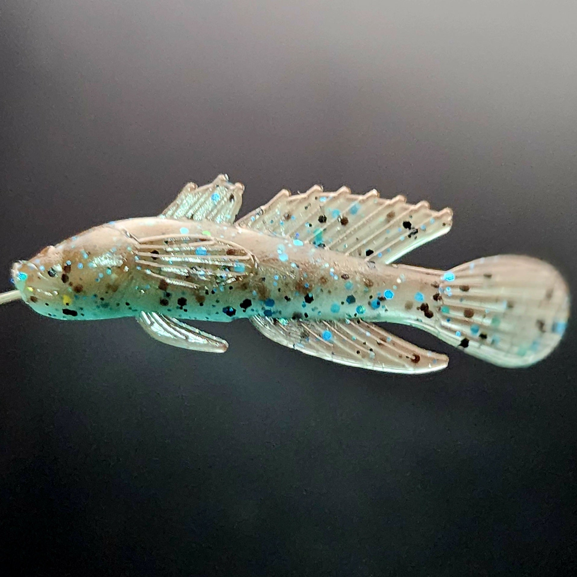 Darter 1,5" « Le danseur du ruisseau »