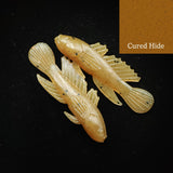 Jar of 1.5" Darter "The Stream Dancer"