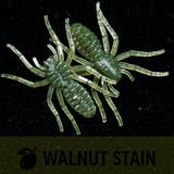 Jar of 1" Micro Spider Bait "The Writing Spider"