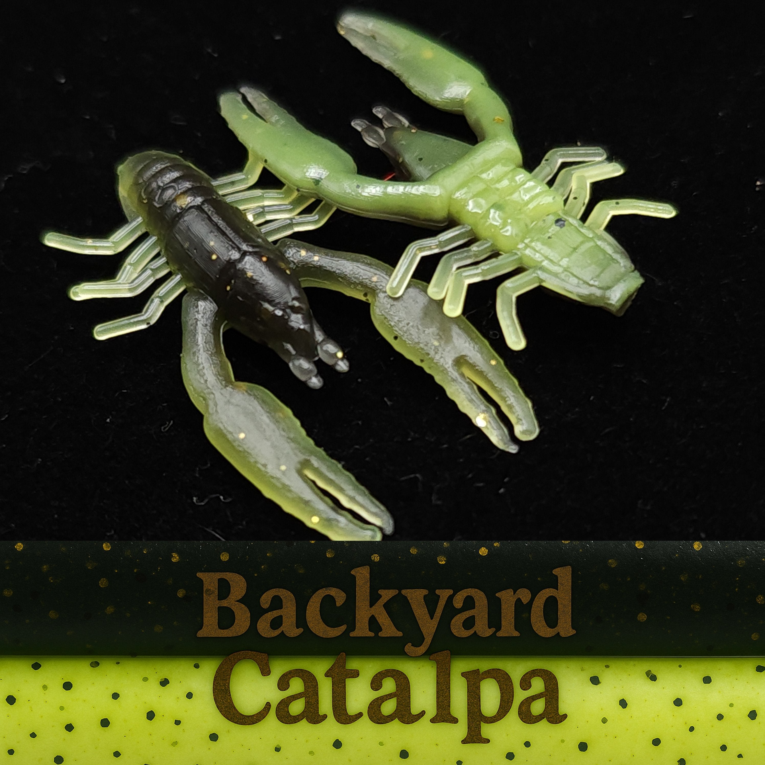 Micro cangrejo de río de 1 pulgada "The Creek Crawler"