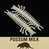 Jar of 1.8" Inch Micro Hellgrammite "The Ditch Devil"