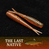 Larvas de tricópteros de 1.3" "Stream Weaver"