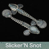 Jar of 2" Sculpin "The Boulder Bandit"