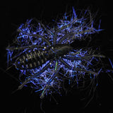 Hairy 1" Micro Spider Bait "The Writing Spider"