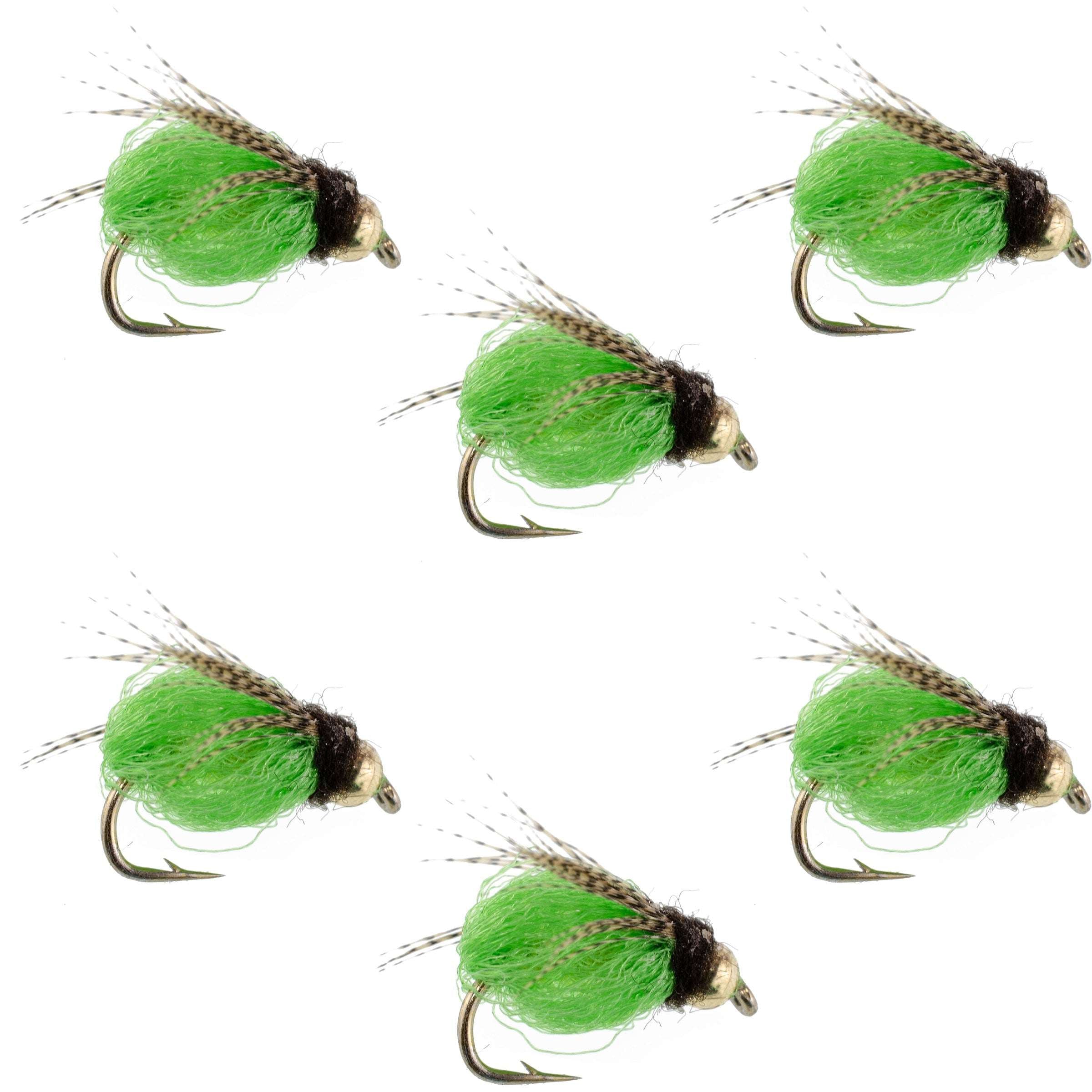 Ninfa de caddis Bead Head LaFontaine de color verde brillante con destellos profundos - 6 moscas, tamaño de anzuelo 14