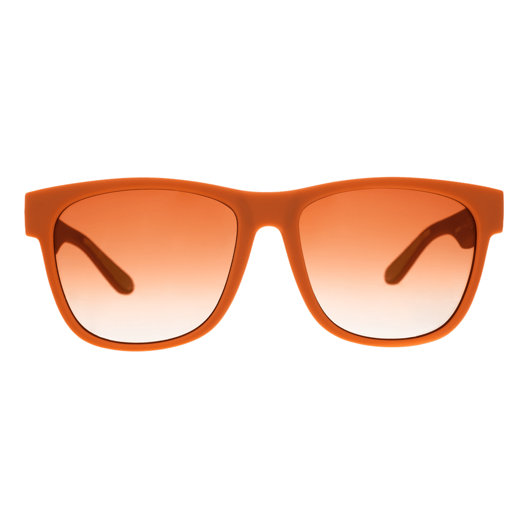 Lunettes de soleil polarisées BFG « Maire de la Pangée »