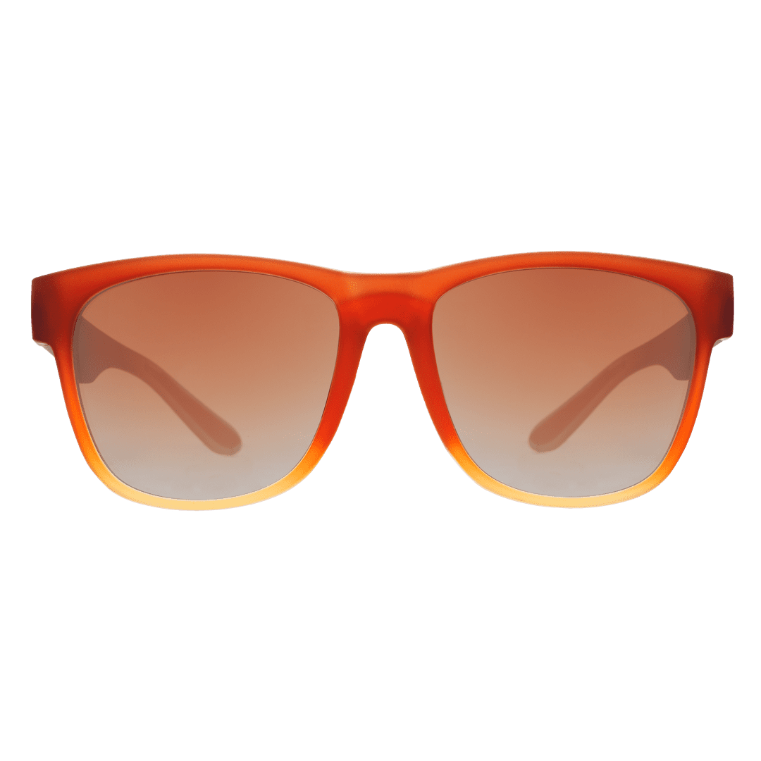 Lunettes de soleil polarisées BFG « Wake &amp; Bacon » en édition limitée