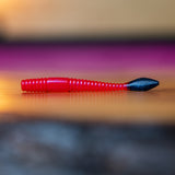 Vers à saumon arc-en-ciel - UV