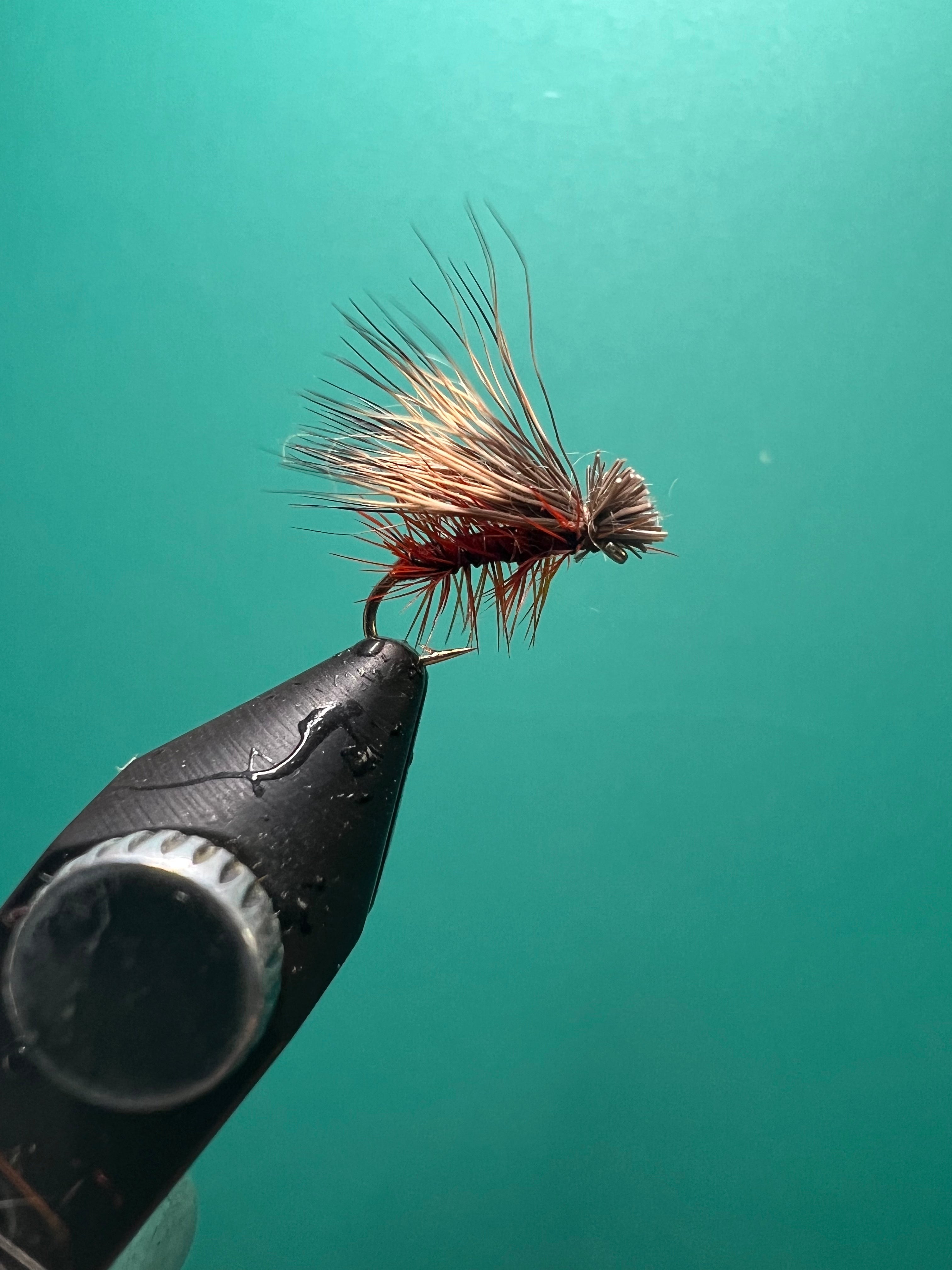 Caddis en poil d'élan - Brun