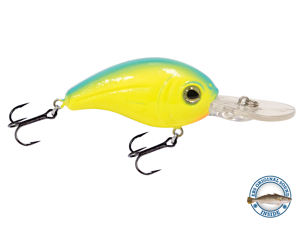 Dive Master Jr 8