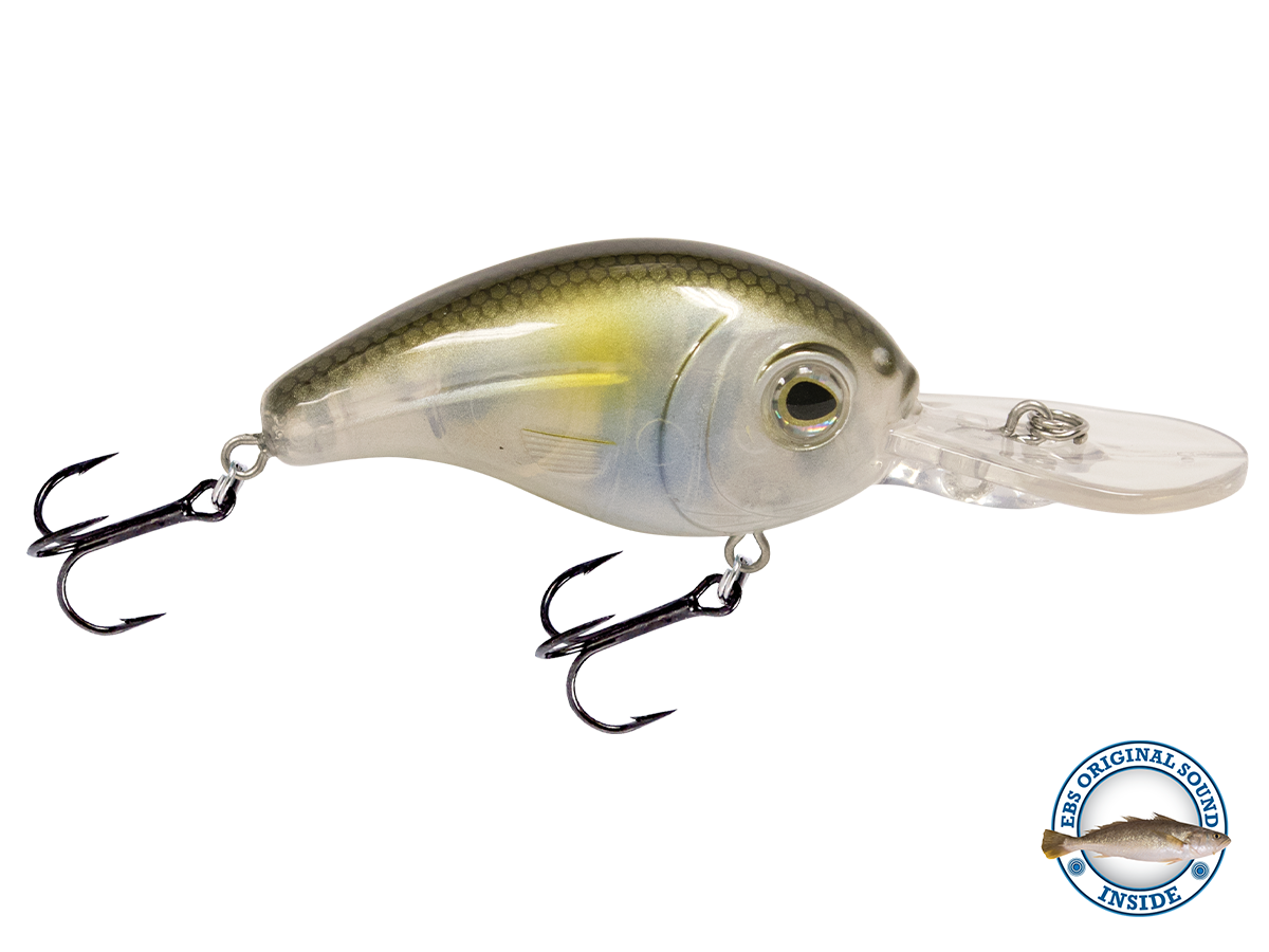 Dive Master Jr 8