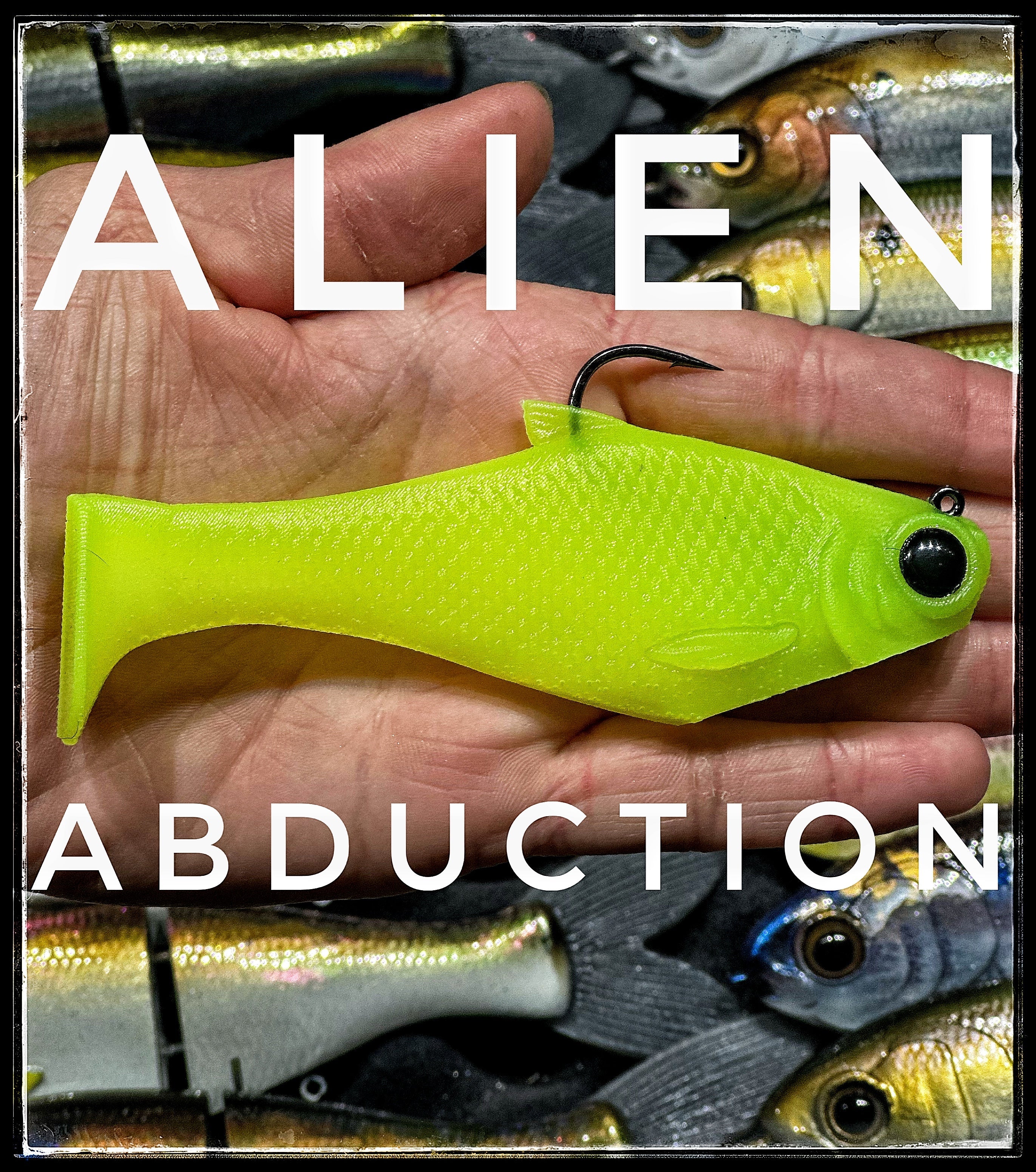 Bacca Burrito