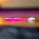 Vers à saumon arc-en-ciel - UV