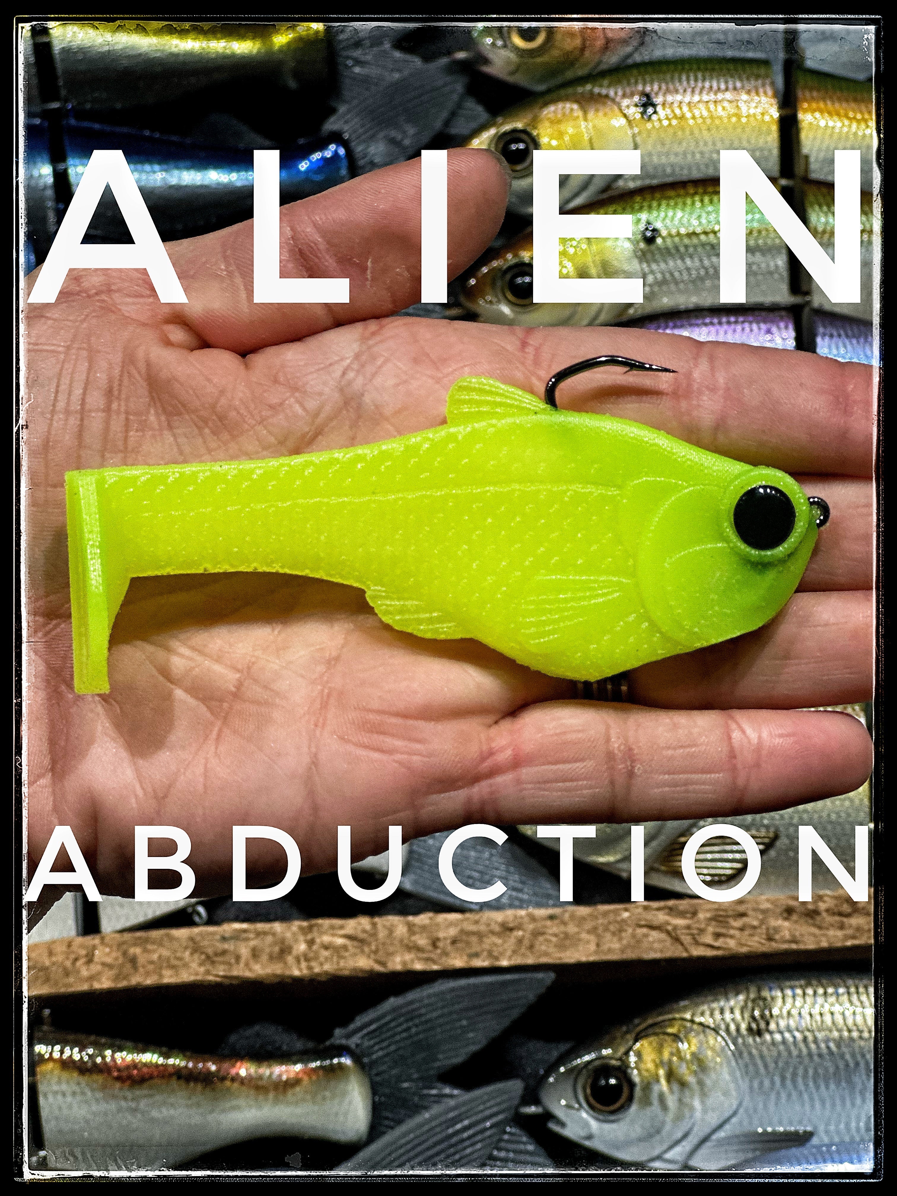 Nacho de 4.5"
