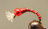 Fil Barbelé - Midge
