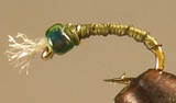 Fil Barbelé - Midge